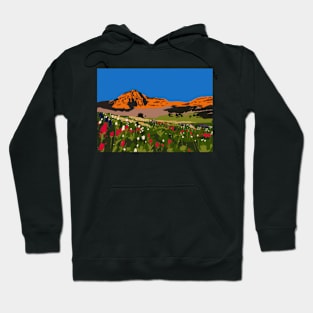 Mount Timpanogos Utah Hoodie